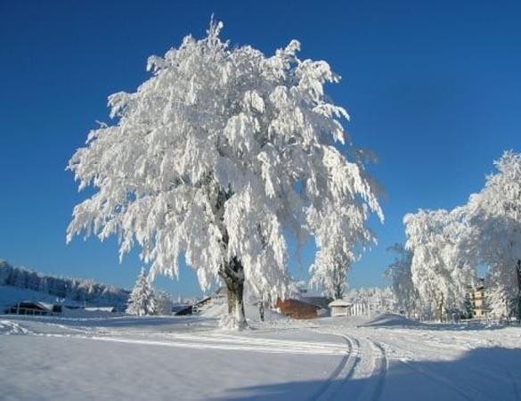 Appartamenti Dolomiti 모에나 외부 사진