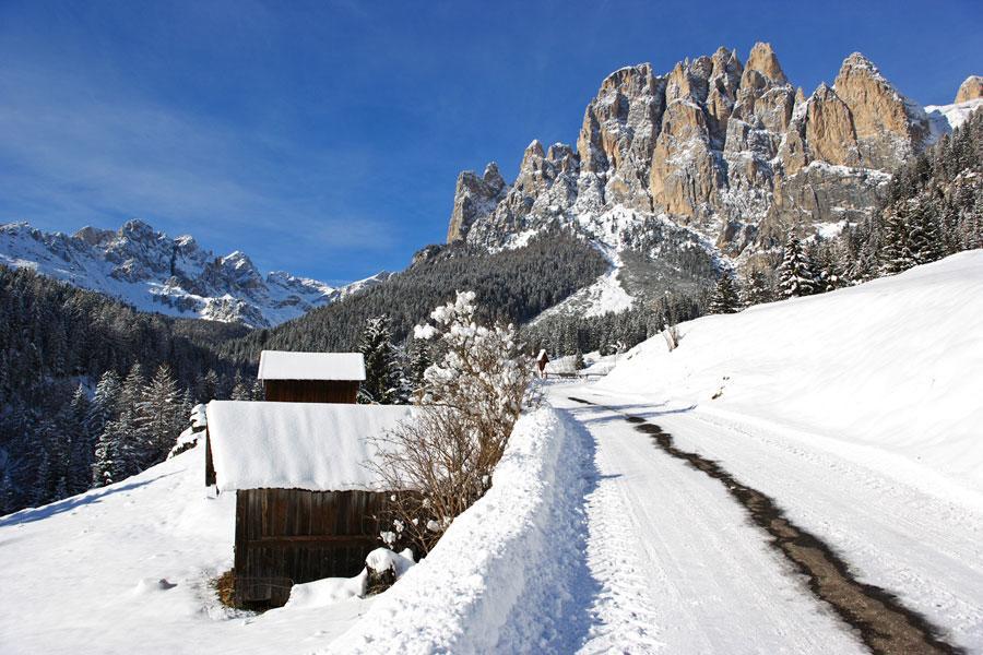 Appartamenti Dolomiti 모에나 외부 사진